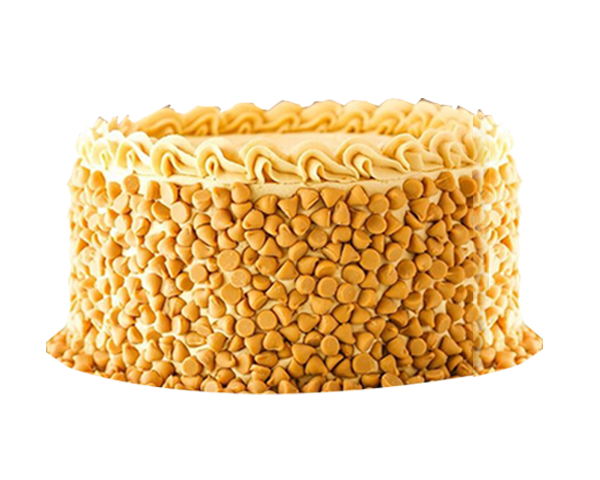 Butterscotch cookie Ice cream cake